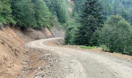 Gölyakada 20 kilometre orman yolu üst yapısı tamamlandı