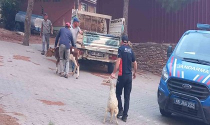 Gördeste başlayan yangın Salihliye ulaştı