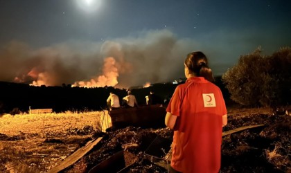 Gördesteki 2 orman yangını devam ediyor