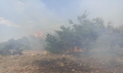 Handa çıkan yangın büyümeden söndürüldü