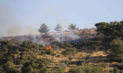 Hataydaki orman yangınına havadan helikopterler ve uçakla müdahale ediliyor