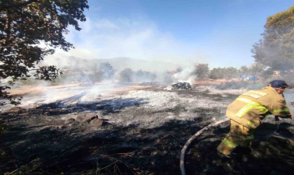 Havranda traktör römorkunda başlayan yangın makilik alana sıçradı