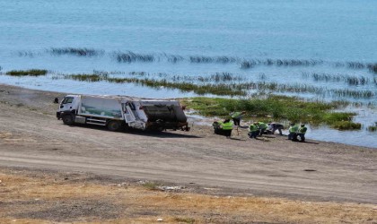 Hazar gölü çevresinde 15 günde 12 ton çöp toplandı