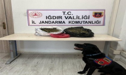 Iğdırda 22,5 kilogram kubar esrar ele geçirildi