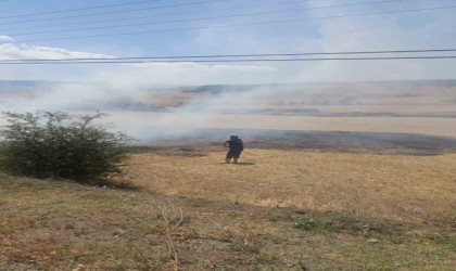 Kastamonuda çıkan arazi yangınında 2 dekar alan zarar gördü