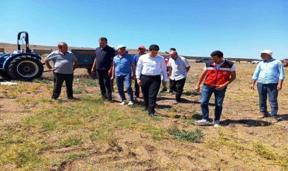 Kaymakam Gedik, nohut hasat kontrollerine katıldı