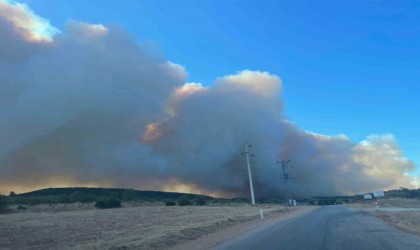 Manisada itfaiye ekiplerinin yangınla mücadelesi sürüyor