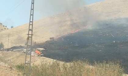 Mardinde çıkan ot yangını söndürüldü