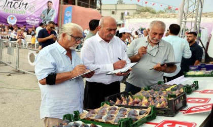 Mersinde Bağlarbaşı İncir Festivali düzenlendi