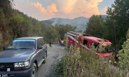 Ormanlık alanda çıkan yangın paniğe neden oldu