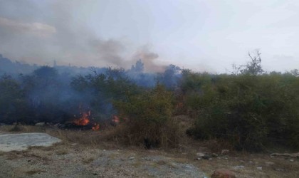 Osmaniyede makilik alanda çıkan yangın söndürüldü