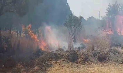 Otluk alanda çıkan yangın ormana ulaşmadan söndürüldü