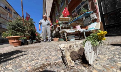 Sevgililer ve Aşıklar Parkı talan edildi