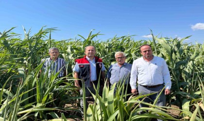 Silajlık Sorgum Projesi: Tekirdağda kuraklığa karşı tarımsal yenilikler incelendi