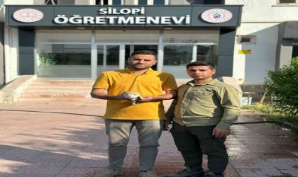 Silopide yaralı bulunan Peçeli baykuş tedavi altına alındı