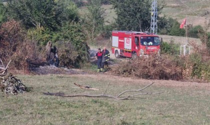 Sinopta otların yakılması paniğe neden oldu