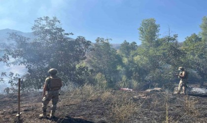 Tuncelide çıkan örtü yangın söndürüldü