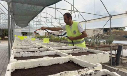 Turhalın yeşil alanları kendi üretimleriyle güzelleşiyor