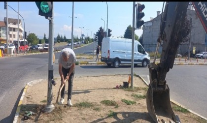 Uluslararası standartların üstünde araç geçiyor