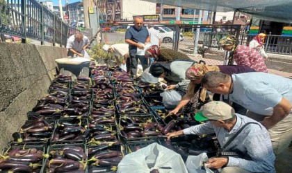 Üretim fazlası 5 ton patlıcanı yüzlerce kişiye bedava dağıttılar