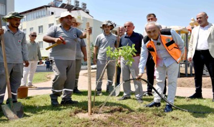 Yenilenen parka ilk ağaç fidanı Kocagözden