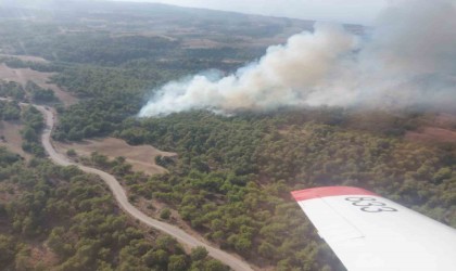 Adanada çıkan orman yangını kontrol altına alındı