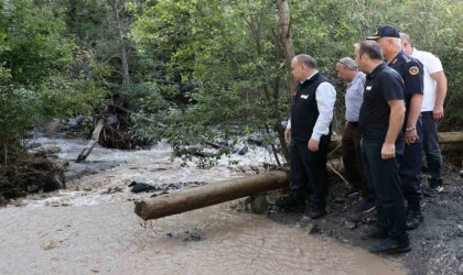 Artvin Valisi Ünsal, sel bölgesinde incelemelerde bulundu