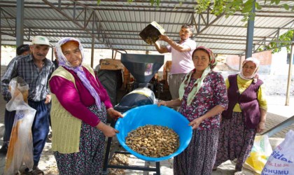 Aydıncık ve Gülnarlı üreticilerin badem soyma derdi bitti