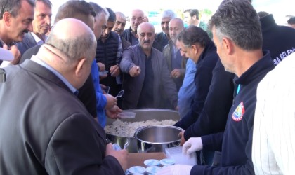 Bafra Ovasında Çeltik Hasat Şenliği: 165 bin ton rekolte beklentisi