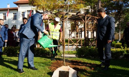 Bakan Işıkhan, Bilecikte çınar fidanı dikti