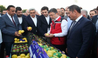 Bakan Yumaklı, narenciye hasadında sezon açılışını yaptı