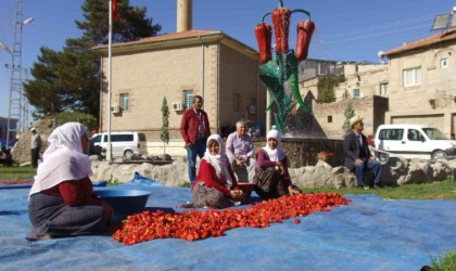 Başkan Çolakbayrakdar: Kayserinin yöresel lezzetlerinin kalitesinin korunmasına büyük katkı sağlıyoruz”