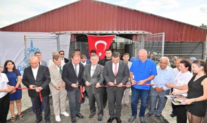 Başkan Zeyrekten Gördeste bir dizi açılış ve halk buluşması