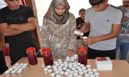 Batmanda dağlardan toplanan şifa kaynağı sumak ailelere geçim kaynağı oluyor