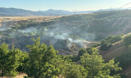 Bingölde orman yangını büyümeden söndürüldü