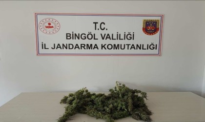 Bingölde uyuşturucuyla mücadele sürüyor