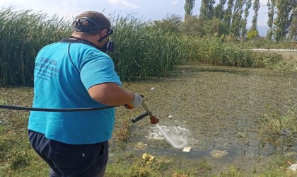 Büyükşehirin müdahale timi her köşe başında haşereyle mücadelede