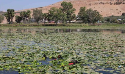 Doğa harikası Gölbaşı Gölünde kıyı ve dip temizliği gerçekleştirildi