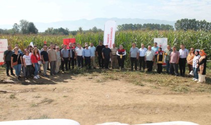 Düzcede yerli silajlık mısır tarla günü düzenlendi