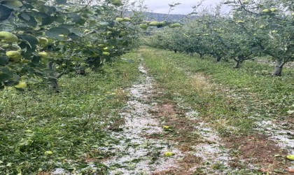 Eğirdirde etkili olan dolu meyve bahçelerine zarar verdi