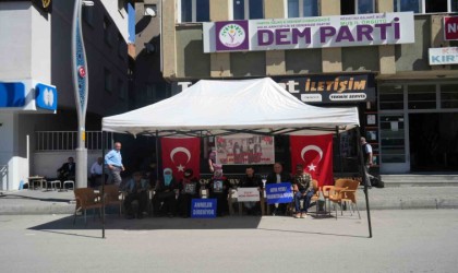 Evladı dağa kaçırılan anne: “Asker de polis de benim oğlumdur”