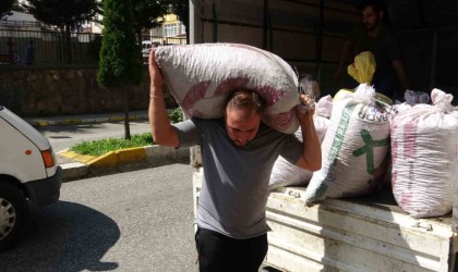 Fındık fiyatı haftaya düşüşle başladı