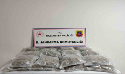 Gaziantepte 32 kilogram skunk ele geçirildi