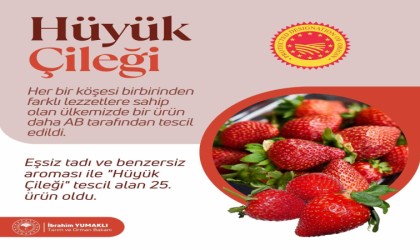 Hüyük çileği ABden tescil aldı