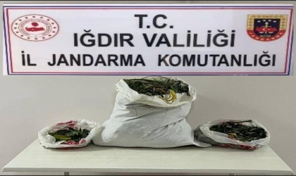 Iğdırda farklı adreslere uyuşturucu operasyonu