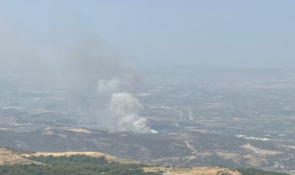 İzmirde ormanlık alanda yangına havadan ve karadan müdahale başladı