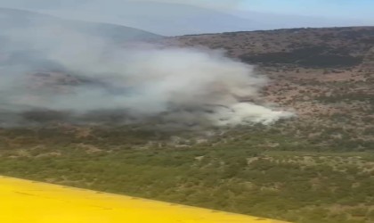 İzmirdeki orman yangınına havadan ve karadan müdahale