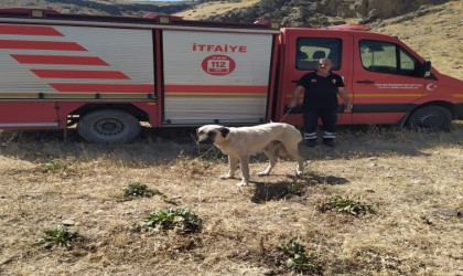 Kayalıklarda mahsur kalan köpek kurtarıldı