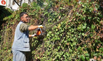 Keçiörende mevsimlik budama çalışmaları gerçekleştiriliyor