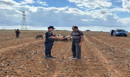 Kırklarelinde kaybolan küçükbaş hayvanlar bulundu